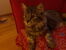 20170914_184103.jpg
