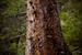 _mg_2890.jpg