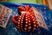 _mg_5327.jpg