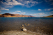 _mg_9736.jpg