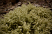 _mg_9338.jpg