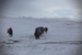 _mg_2387.jpg