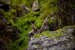 _mg_4144.jpg