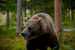 _mg_6810.jpg