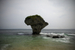 _mg_9015.jpg