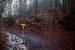 _mg_5845.jpg