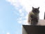 20170617_184143.jpg
