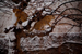 _mg_4291.jpg