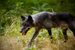 _mg_6310.jpg